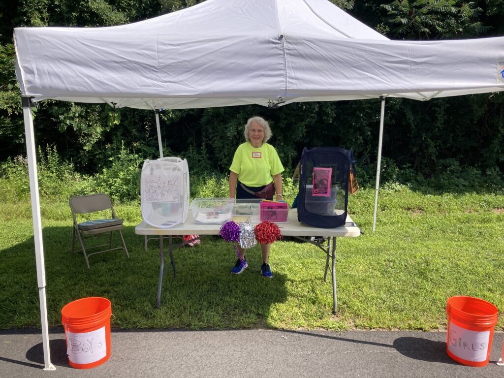 sports flash return tent