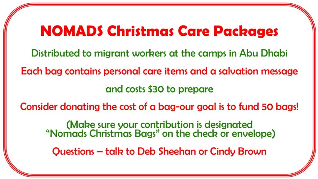 nomads christmas bags